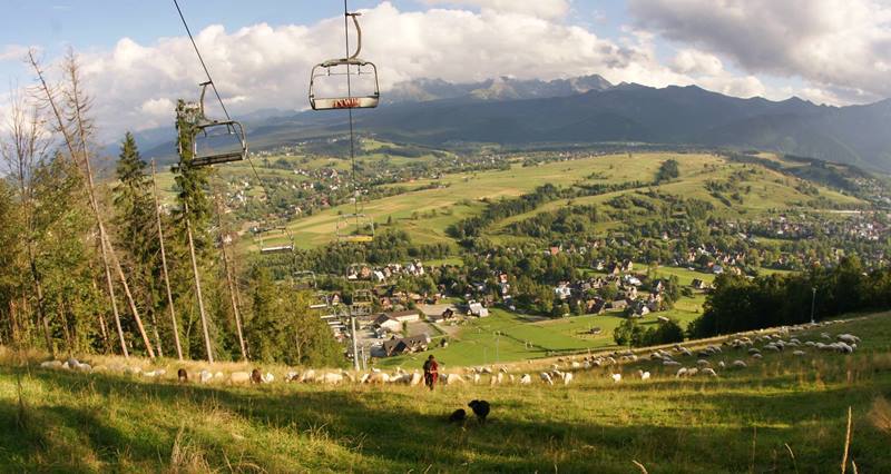 ZAKOPANE HARENDA IN WINTER AND SUMMER