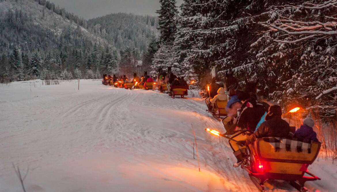 KULIGI.PL – TRADITIONAL, HIGHLANDER SLEIGH RIDES