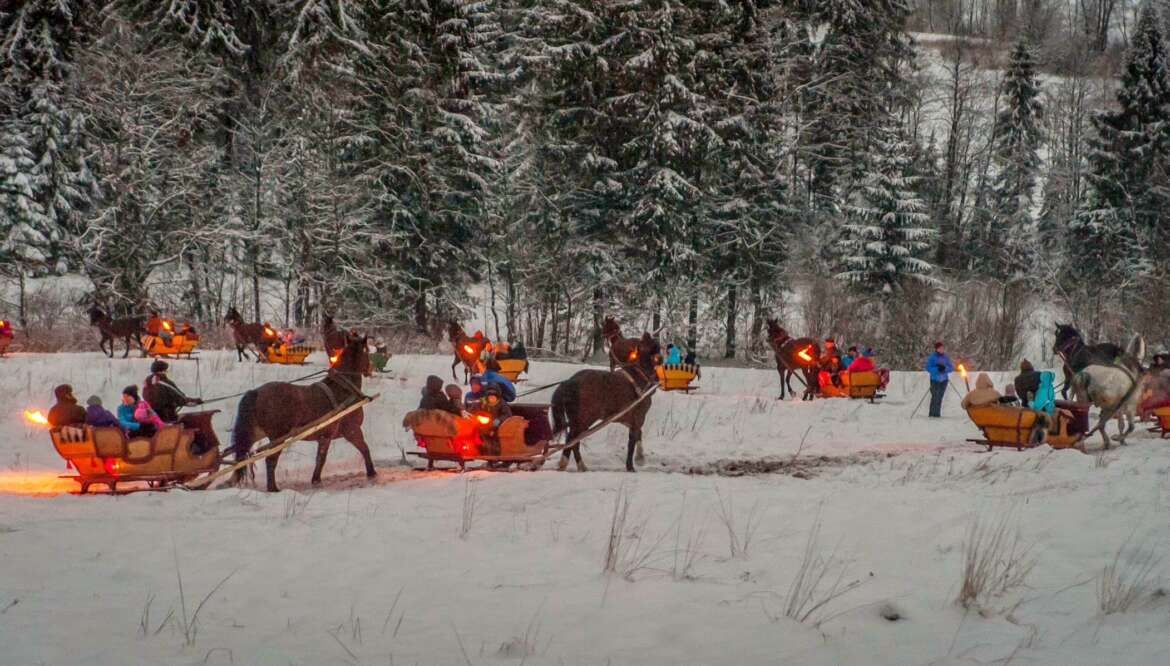 CHOCHOLOWSKA.PL – SLEIGH RIDE IN THE CHOCHOLOWSKA VALLEY